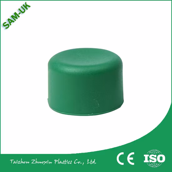 China Professional Supplier High Quality Plastic PPR Pipe and Fitting